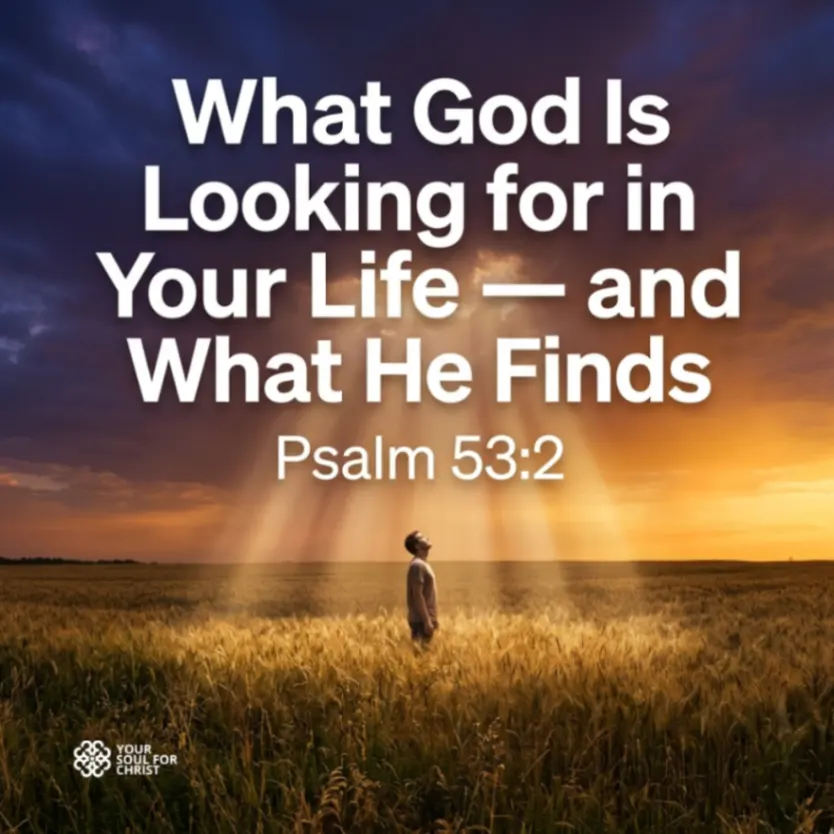 What God Is Looking for in Your Life — and What He Finds - Psalm 53:2