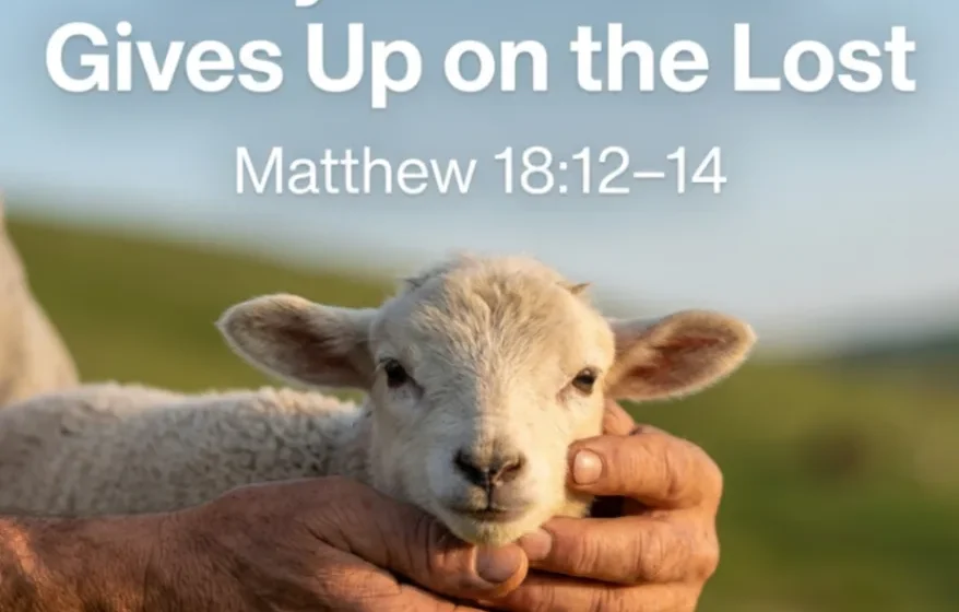 Why God Never Gives Up on the Lost - Matthew 18:12-14